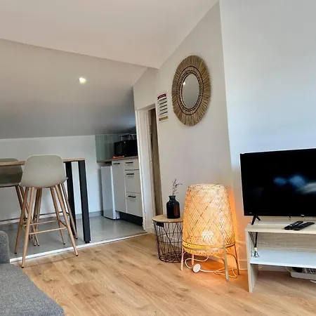 Daire F2 *la Treille* Centre Historique Fd 3p Clermont-Ferrand