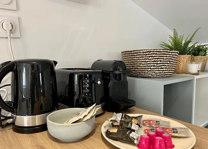 Apartment F2 *la Treille* Centre Historique Fd 3p